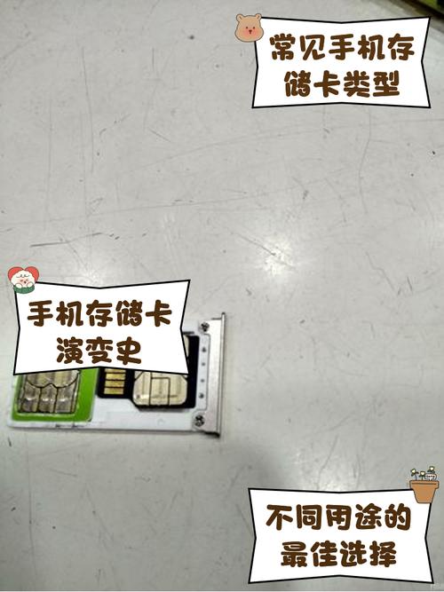 手机内存卡分别多少钱
