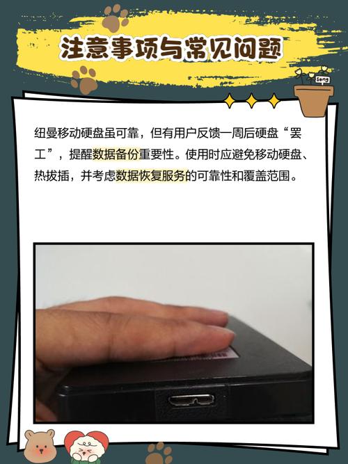 纽曼是国内移动硬盘质量比较好的吗?