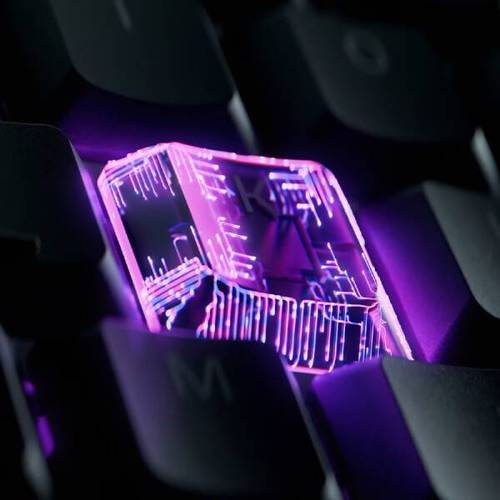 雷蛇和狼蛛是一家的吗