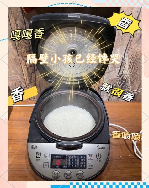 怎样用电饭煲煮米饭呢?