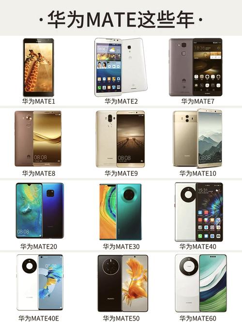 华为mate40四个版本有什么区别