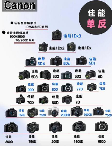 佳能5d与6d哪个好