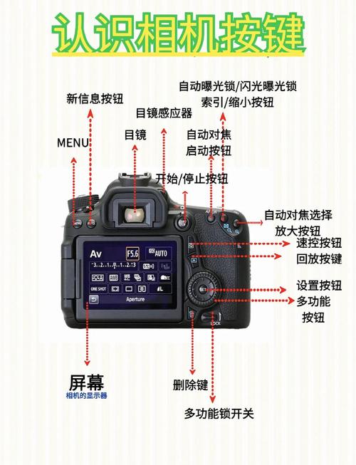 数码相机的使用技巧是什么