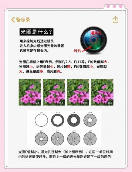景深镜头与纵深镜头各自是什么意思?