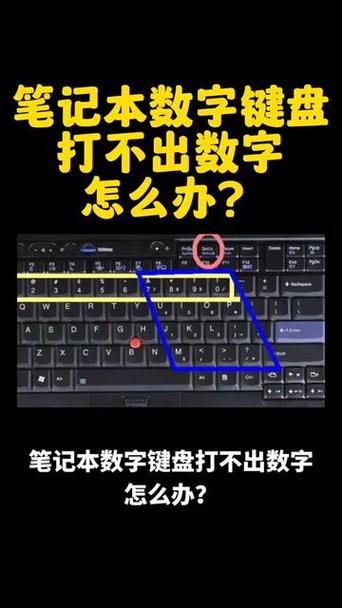 如何禁用笔记本自带键盘Win11系统键盘锁定教程