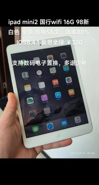 ipadmini2能用电信4g吗
