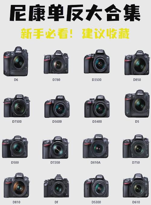 二手佳能数码相机能卖多少钱