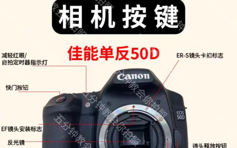 佳能50D的显示功能