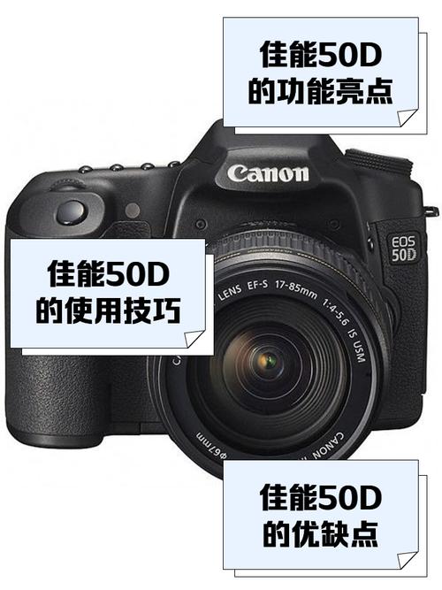 佳能50D的照相机能用显示屏取景拍摄吗